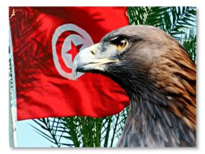 المصري يوجه صدمة قوية للقلعة البيضاء بشأن النسر التونسي بن يوسف